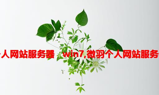 个人网站服务器   win7,微羽个人网站服务器